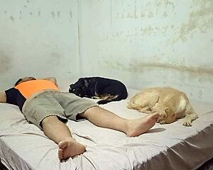 primo why stop now when peruvian dancer bounces wet pussy on your cock doggystyle? 