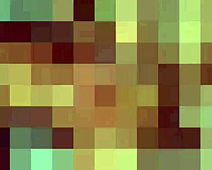 Ever tasted shemale cock before? This babe blows group style