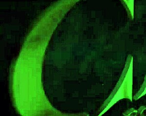 Melissa Alecxander's big black cock ass to mouth deepthroat milf pounding