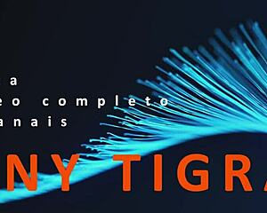 Dream come true? Bruna Ferrari's 100 anal assfucking frenzy awaits!