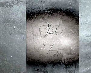 My Secret Life Filled With Vintage Hairy Beaver Blowjobs And Cumshots