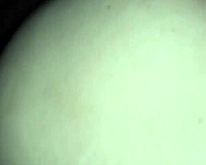 brunette amateur fists her tight ass with toys in homemade fun