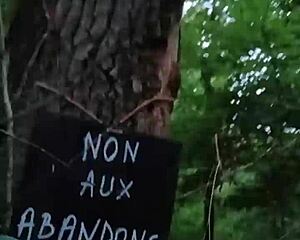 Ponygirl slave bound fucked hard in forest