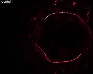 allison bloom takes shower anal fisting from her sub master