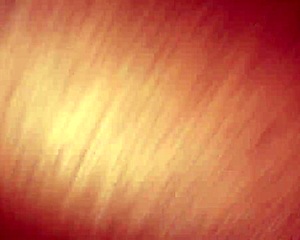 royalty takes fat black cock deep anal