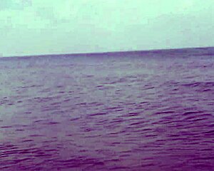 Hollis Ireland's Micro Bikini Reveals Big Pussy Lips HD