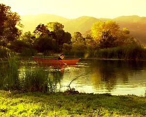 Want to see a couple banging hard outdoors on a tiny lake boat?