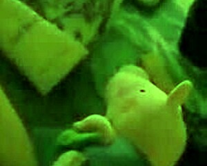 hey curvy colombian conserje lady, you crave getting pounded hard every shift?