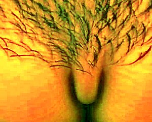 nelly's getting banged hard 😍 multiple orgasms in doggystyle cumshot!