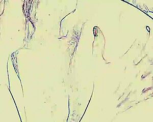 Club lights flash as babe rims ass deep then sucks cock hard