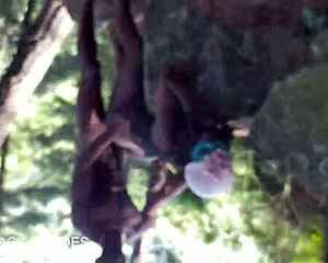 we ended our jungle adventure fucking my friend and she swallowed my cum