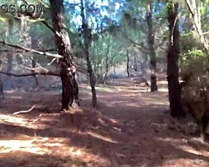 whoa clitlicker662's forest flash update 23 has her rubbing pussy to sloppy outdoor orgasm 😍🌳💦