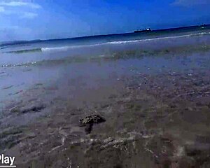 Sweet Shaved Pussy Drips Juicy Piss in Beach Water?