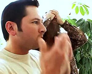 Milf Lexi Love Begs for Nasty Deepthroat and Gaping Fucks!