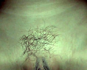 wife's first anal stretch... how tight does it grip that cock?