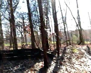 whoa clitlicker662's forest flash update 23 has her rubbing pussy to sloppy outdoor orgasm 😍🌳💦