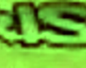 i crave tiny trisha's hard pounding