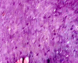 this whore cums multiple times from double anal pounding?