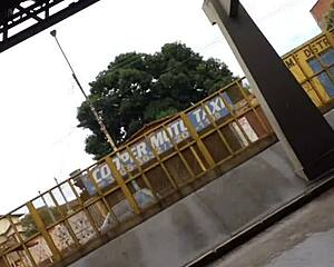 gostosa's juicy ass hidden candid on bus 😍🍑