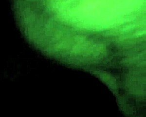 Dude, check this close-up ebony creampie with big cock stretching wet pussy.