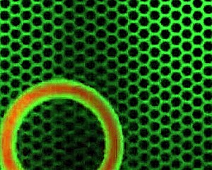 sara jay rims ass and rides cock doggystyle