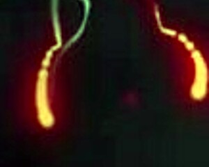 sheseducedme introduces the cool stepmom's charming adventure