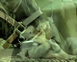 vintage hairy pussy teased outdoors with retro pooch play