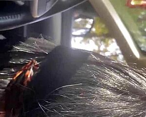 risky outdoor sex compilation has sluts licking balls asses cum covered!!