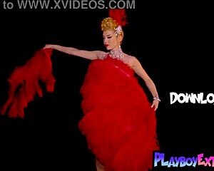 lp officer feeds pussy to suspect in office shop bust