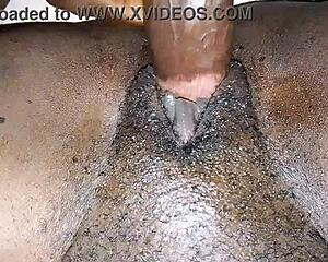 Chubby Amateur Bent Over for Juicy Doggystyle Pussy Pounding in Homemade Casting