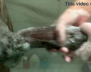 whoa 😍 big sis rides step bro's monster bbc while parents away!