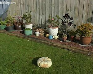 🤢 kiwi trashy milf squats on massive pumpkin toilet seat in backyard garden!