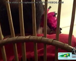 fucked short bar owner dude 🍑💦