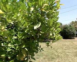 paulina james: two monster cocks gagging my milf throat wanna watch??