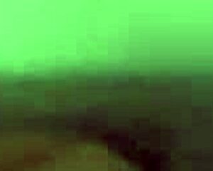 czech babe gets seduced at supermarket then pov assfucked hard by group