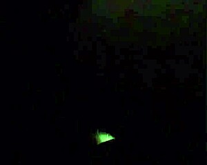 Spanish Milf Macaronitime's Fat Wet Ass Bent Over on Street for Cock!