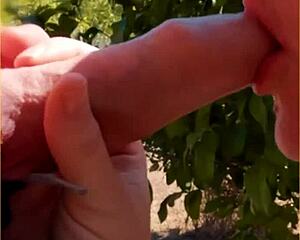 imagine this hot wife sucking cock in public view