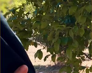 imagine this hot wife sucking cock in public view