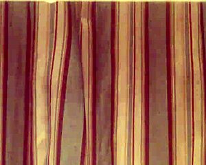 mepeecassie shares her solo bathroom moments online