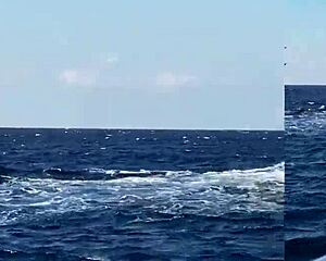 i crave that yacht creampie pounding on the waves