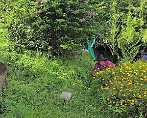 A STRANGER TRICKS Naive April Into Bent Over Outdoor Fuck And Cumshot