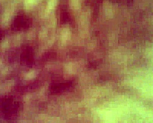 mepeecassie shares her solo bathroom moments online