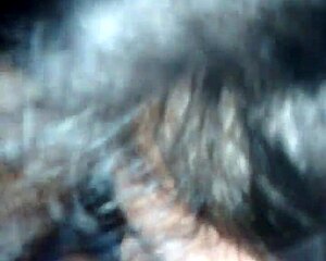 wow what a pretty blowjob my wife gave me, que lindo pete que me hizo