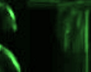 she rushes to mom's house but stumbles into ritzy rich streets