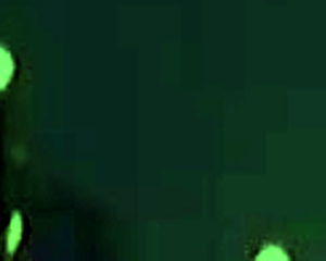 chubby cougar milf gets roughly fucked at the bar