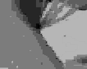 stepbros trade stepsis licks before doggystyle pounding and facial swap