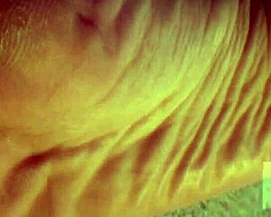 Ever seen McKensie arch to lick her own sexy feet?