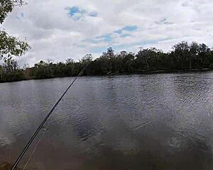 busty milf diamond, fishing turns into public outdoor ass fucking by couple?