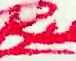 Fucking Skinny Babe's Tight Ass on Lap