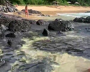 a stranger feeds sperm to fish in public view